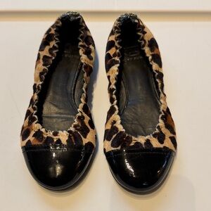 Tory Burch Women’s Lepard Print Ballet Flats with Black Patent Toe